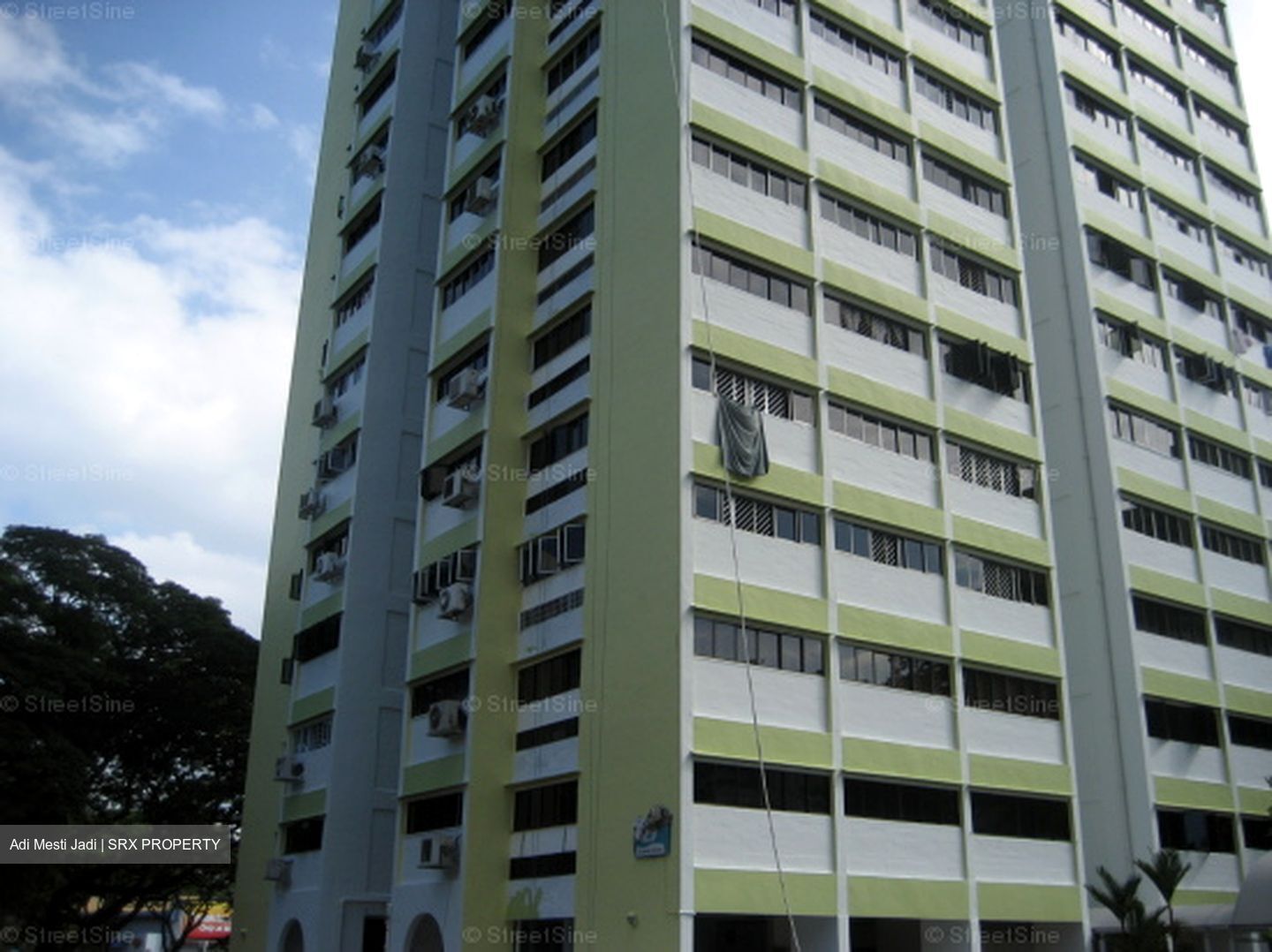 Blk 29 Marine Crescent Ville (Marine Parade), HDB 5 Rooms #558828101